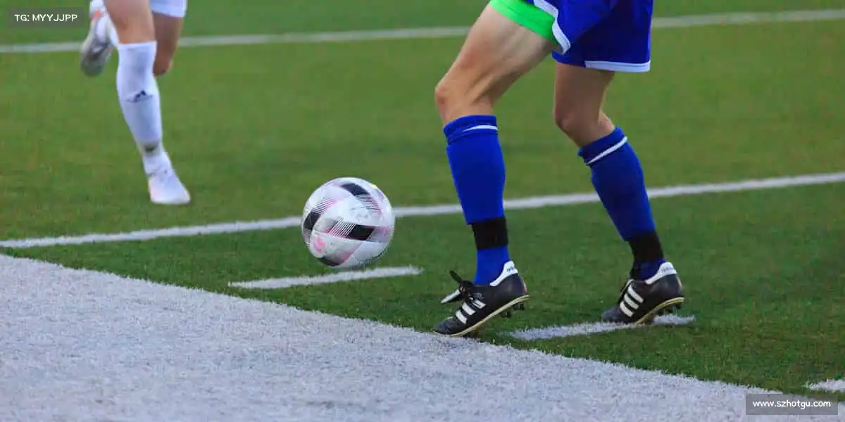 行业领先的理由